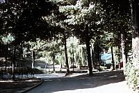 03 22298 1970s NSP Kroll c033