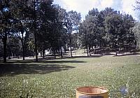 04 22298 1970s NSP Kroll d015