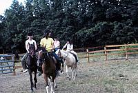 05 22298 1970s NSP Kroll e006
