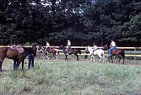 07 22298 1970s NSP Kroll b040