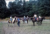 07 22298 1970s NSP Kroll b043