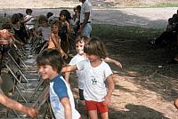 07 22298 1970s NSP Kroll b044