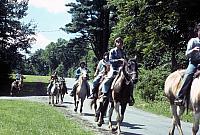 08 22298 1970s NSP Kroll c005