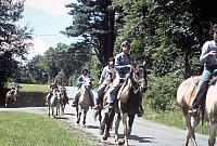 08 22298 1970s NSP Kroll c026