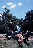 09 22298 1970s NSP Kroll d030