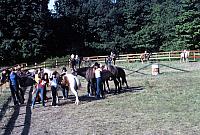 09 22298 1970s NSP Kroll d048