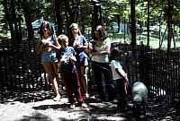 14 22298 1970s NSP Kroll d037