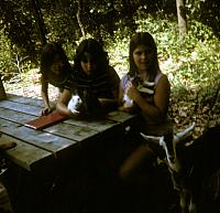 19 22298 1970s NSP Kroll c036