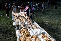02 22298 1970s NSP Kroll d012