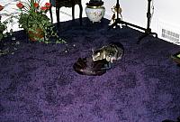 12 22298 1970s Kroll Family d029