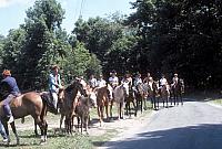 15 22298 1970s Kroll Family b002