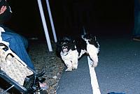 12 22298 1980s NSP Kroll a013