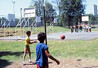 16 22298 1980s NSP Kroll d041