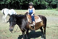 24 22298 1980s NSP Kroll a044