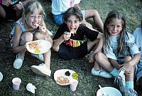 33 22298 1980s NASHOPA Kroll p011