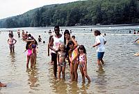 38 22298 1980s NASHOPA Kroll q002