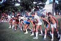 43 22298 1980s NASHOPA Kroll k011