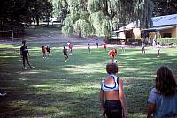 44 22298 1980s NASHOPA Kroll q046