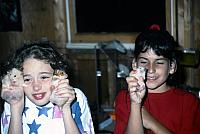 07 22298 1990s NSP Kroll d016