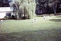 02 22298 1960s NASHOPA g030