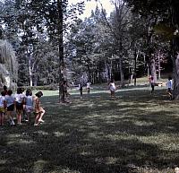 17 22298 1960s NASHOPA i045
