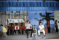 21 22298 1960s NASHOPA i010