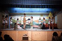 21 22298 1960s NASHOPA i030