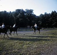 04 22298 1970s NASHOPA i015