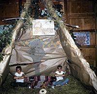 04 22298 1970s NASHOPA i020