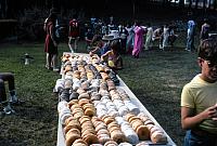 11 22298 1970s NASHOPA f022