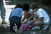 11 22298 1970s NASHOPA f028