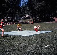 11 22298 1970s NASHOPA f041