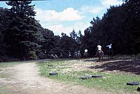 15 22298 1970s NASHOPA i012