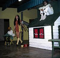 15 22298 1970s NASHOPA i048
