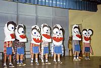 17 22298 1970s NASHOPA f027