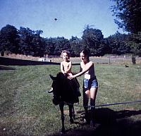 17 22298 1970s NASHOPA f044
