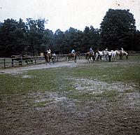 23 22298 1970s NASHOPA i045