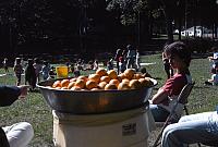 24 22298 1970s NASHOPA i011