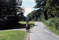 29 22298 1970s NASHOPA i014