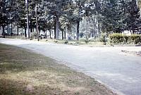 29 22298 1970s NASHOPA i037
