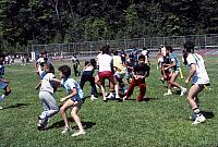 03 22298 1980s NASHOPA j043
