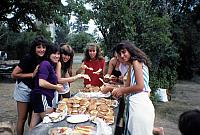 06 22298 1980s NASHOPA f034