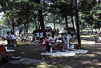07 22298 1980s NASHOPA i033