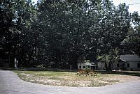16 22298 1980s NASHOPA f018