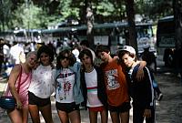 19 22298 1980s NASHOPA i010