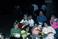 22 22298 1980s NASHOPA i030