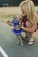 Cat071 RJ