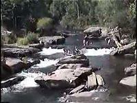 1995-Woodridge Waterfall