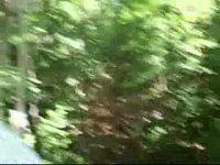zip-line in camp na-sho-pa